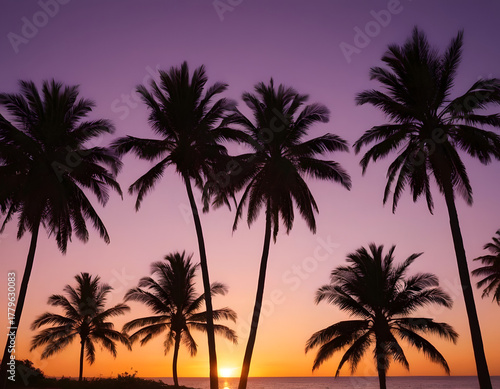 palm tree silhouette at sunset. Silhouette of palm trees at tropical sunrise or sunset
