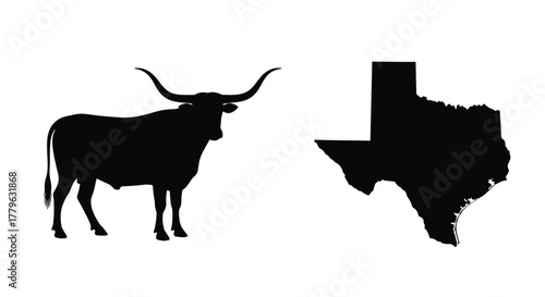 Texas longhorn silhouette stands beside the outline of the state itself