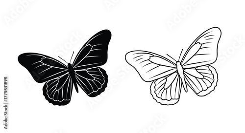 Two butterflies in contrasting styles black silhouette and white line art