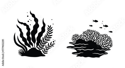 Black and white illustration depicting coral reefs seaweed and small fish