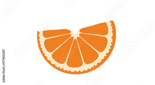 A vibrant illustration of a single orange slice full of juicy segments
