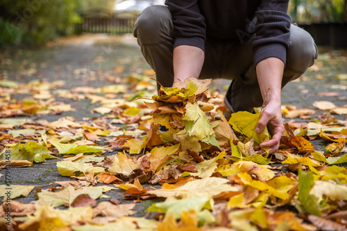 Laub im Herbst umständlich per Hand sammeln