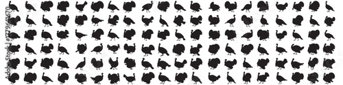 set of turkey bird silhouette vector template. Vector Black silhouettes. with white background