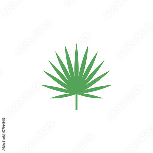 Green leaf saw palmetto icon vector flat design on white background.