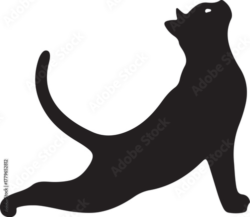 Silhouette of a black panther stretching in a yoga pose big cat feline on transparent background