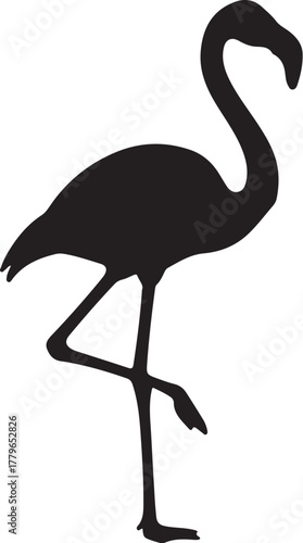 Silhouette of a flamingo standing on one leg with its neck curved on a white background bird animal on transparent background
