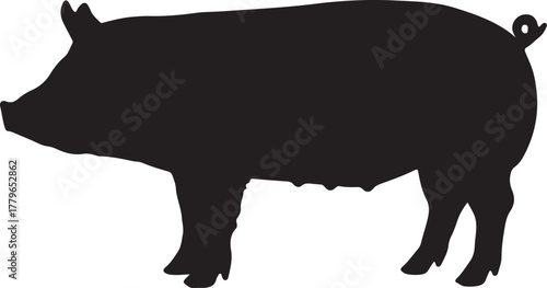 Silhouette of a pig standing sideways on a white background animal livestock on transparent background