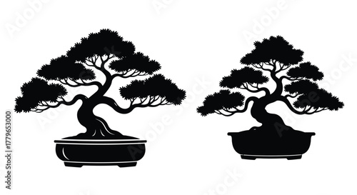Elegant black silhouette illustration of two japanese bonsai trees in pots