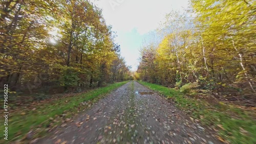 fpv drone flying over forest path with fall colours on a sunny autumn day in Vosges