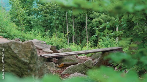 A bench in the middle of a dense forest with a view of the Karkonosze Mountains from the Sokolik Duży peak. Poland, Lower Silesia