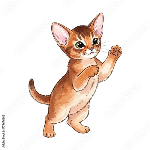 Playful Abyssinian kitten playing on hind legs with raised paw  