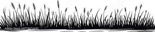 Black and white silhouette of tall grass and reeds on a white background