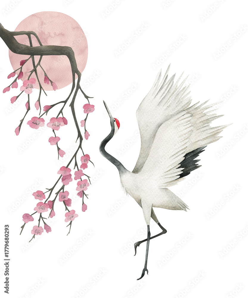 Obraz premium Watercolor print of crane and sakura. Hand drawn illustration on white background