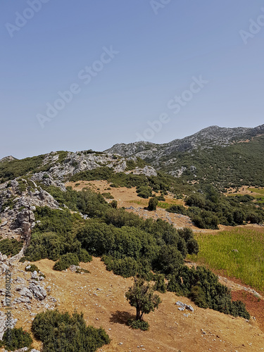 The Oakwoods trail heads to a high peak, opening onto sunny, rocky hills dotted with oak trees, and reaches a summit where the trail climbs over moss-covered rocks.