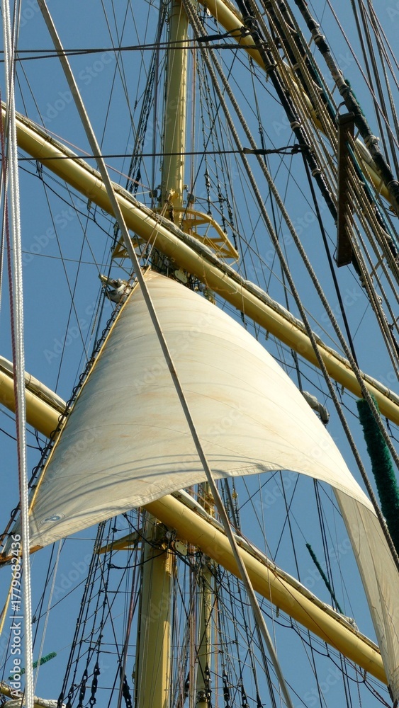 Fototapeta premium sail filled with wind