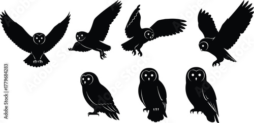 Collection of owl silhouette illustrations in various flying and sitting poses, wildlife bird icons for nature design, education, logo and decorative artwork
