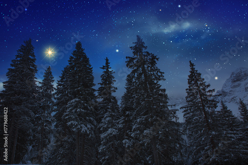 Starry night sky over trees silhouette, winter background.