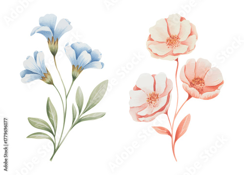 Watercolor wildflowers with green foliage. Botanical watercolor art of wild flowers.