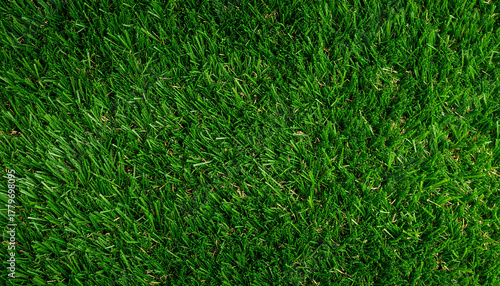 Wallpaper Mural green grass background Artificial make Torontodigital.ca