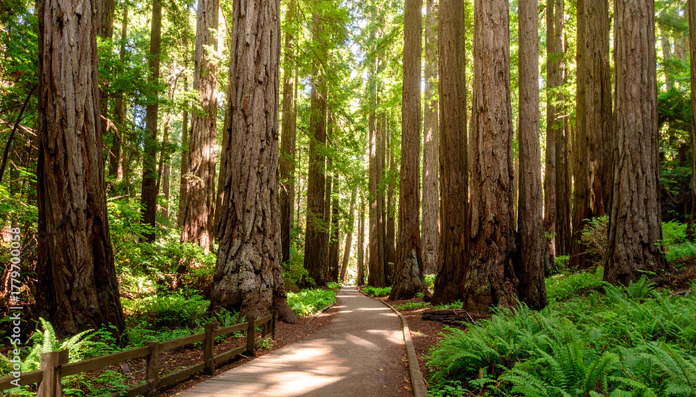 Obraz premium Ai making image path in the forest Artificial forest