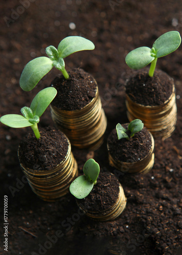 Piles of gold coins in the ground and green fresh sprouts.. Vertical photo format