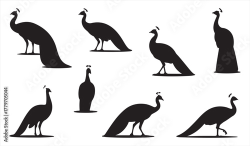 Set of Peacock Silhouettes – Artistic Bird Shapes for Decorative and Logo Use