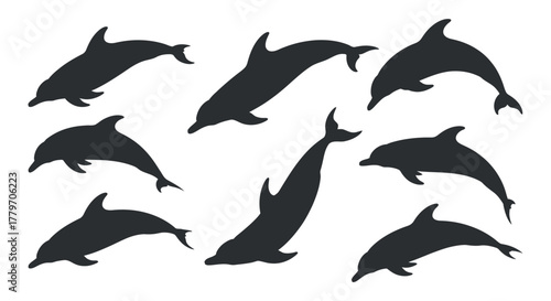 Silhouette of dolphin in various poses vector image with clean and professional composition in high quality, vector format and isolated