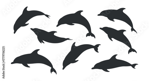 Silhouette of dolphin collection in various poses vector image with clean and professional composition in high quality vector and isolated