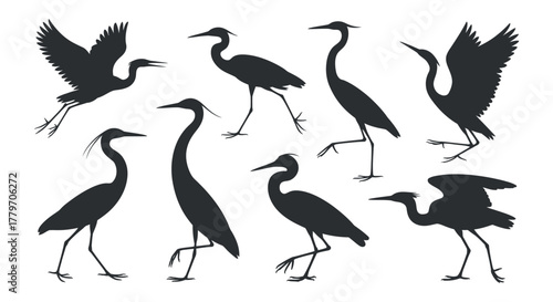 Set of heron silhouette walking, standing and flying with open wings in different poses in dark color on white background vector