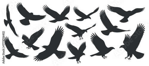 Set of bird of prey silhouettes of eagle different flying poses in sky with dynamic action in air with minimal vector art