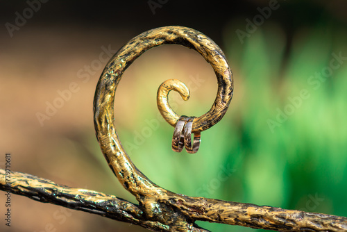 old rusty hook with wedding rings