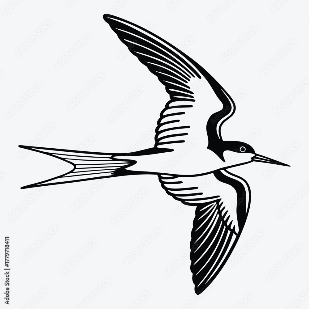 Fototapeta premium Tern line art White background illustration Generative Ai