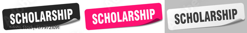 scholarship sticker. scholarship sticker set on white background