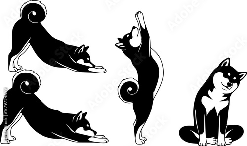 Shiba inu dog yoga illustration animal stretching exercise pet
