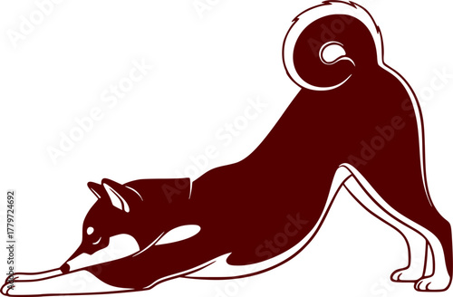 Shiba inu dog yoga illustration animal stretching exercise pet

