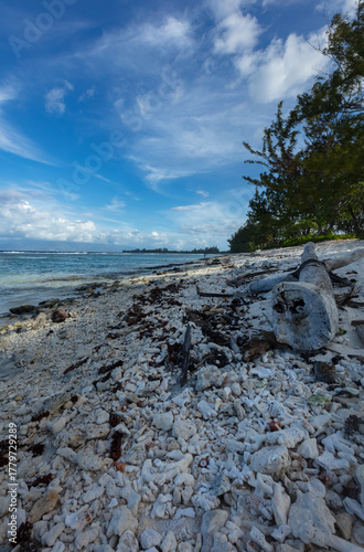Plage de l'île de Moorea en Polynesie 