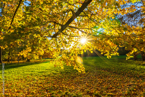 Park am Decksteiner Weiher im Herbst
