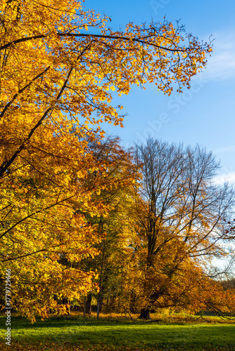 Park am Decksteiner Weiher im Herbst