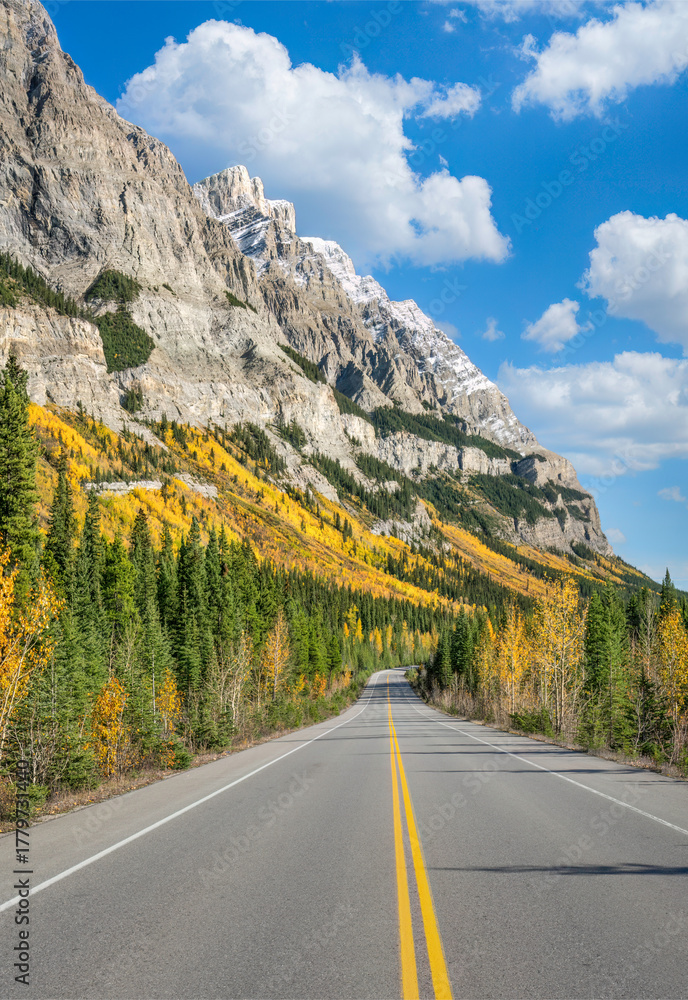 Naklejka premium Autumn colors in the Canadian Rockies on the Icefields Parkway - Banff National Park