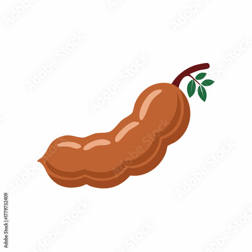 Tamarind pod with green leaves and stem tropical fruit illustration