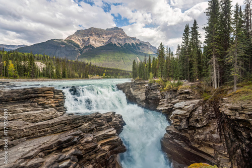 Cuadro en lienzo Athabasca Falls on the Icefields Parkway in Jasper National Park