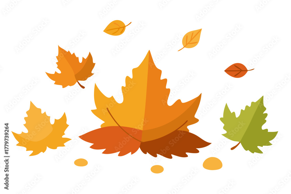 Obraz premium Autumn leaves composition