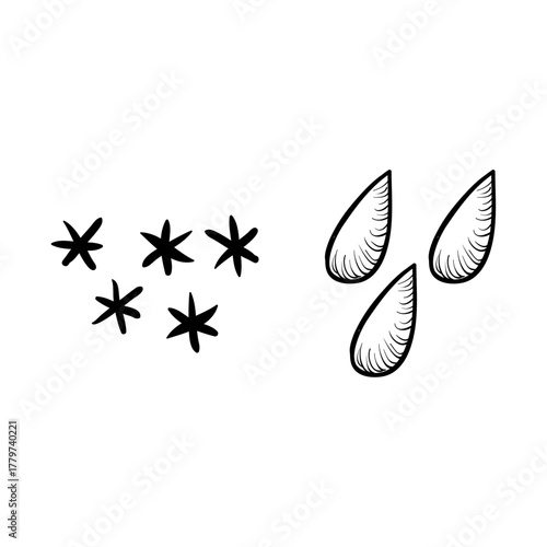 Simple black and white line art icons of star anise and cardamom seeds for cooking concepts