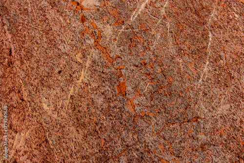 Fotografija Deep water Middle Triassic red Bulog limestone from Zlatibor, Se
