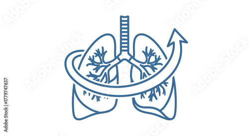 Illustration of human lungs with a circulatory arrow medical diagram