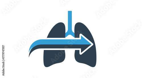 Illustration of human lungs with an arrow representing airflow within