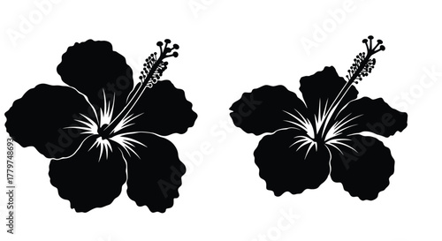 Two black and white hibiscus flower silhouettes on a white background