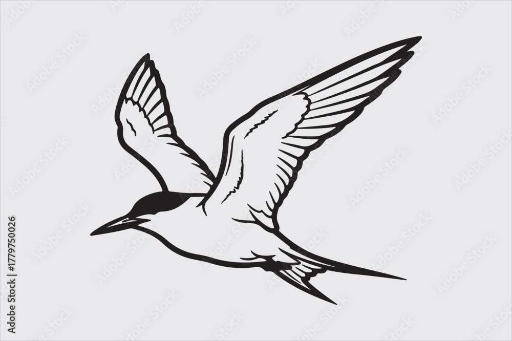 Obraz premium Flying bird line art vector design