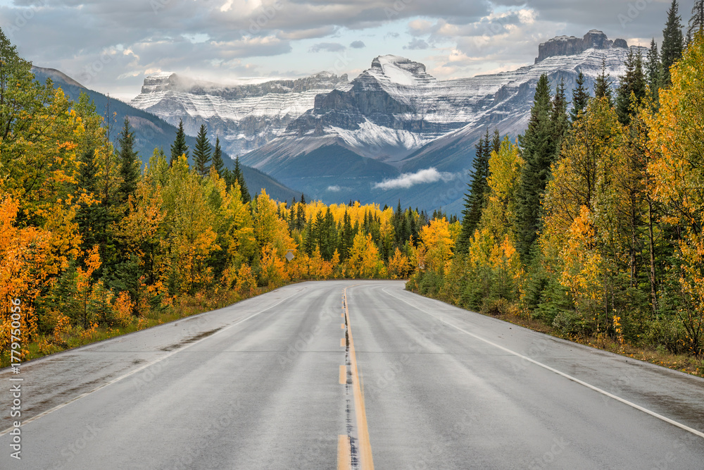 Fototapeta premium Fall colors along the Icefields Parkway - Banff National Park - scenic drive