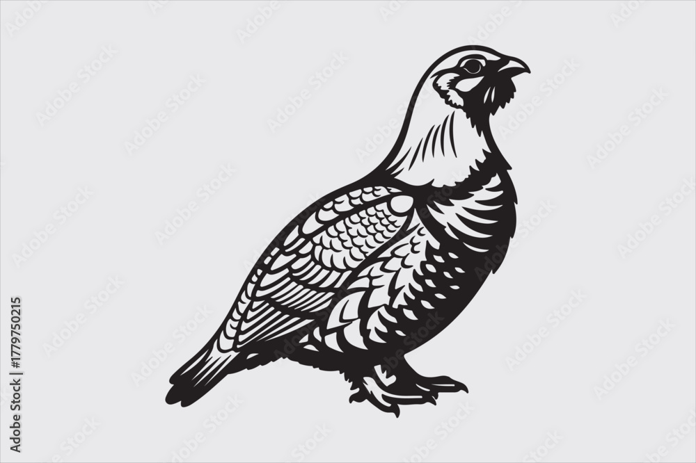 Fototapeta premium bird line art vector design